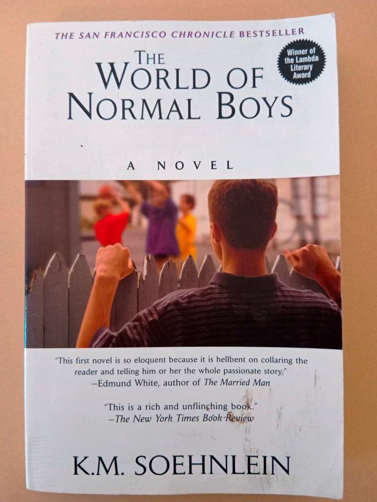 The World of Normal Boys, K.M. Soehnlein