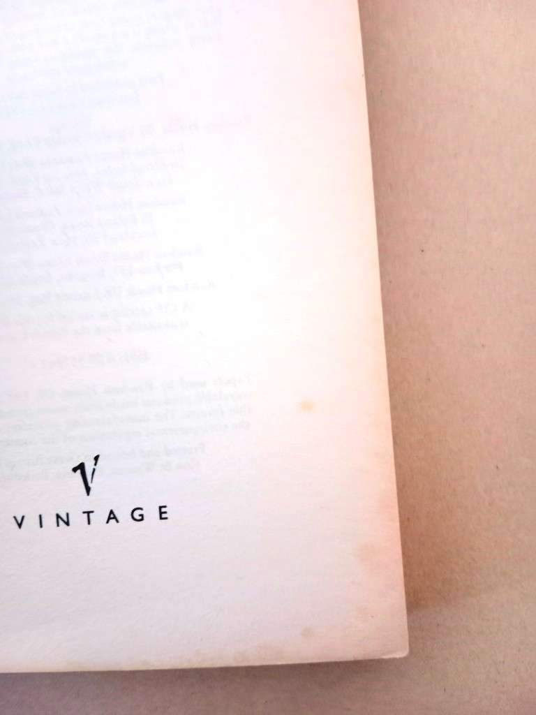 Shame, Salman Rushdie