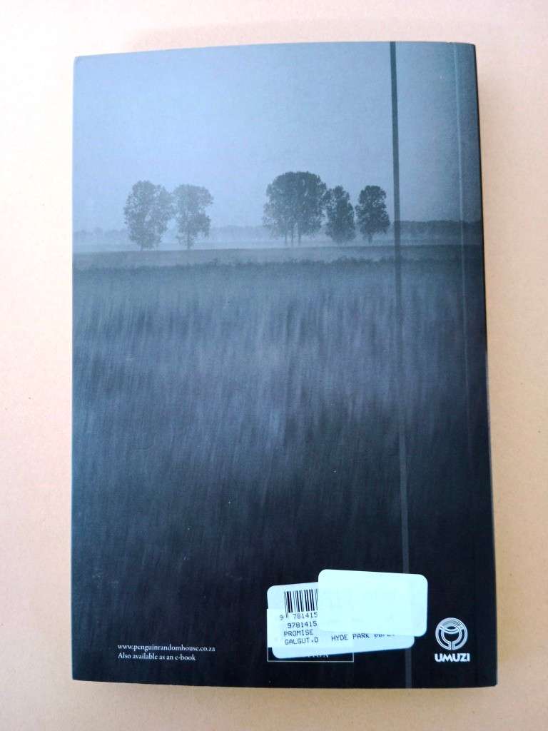 The Promise, Damon Galgut