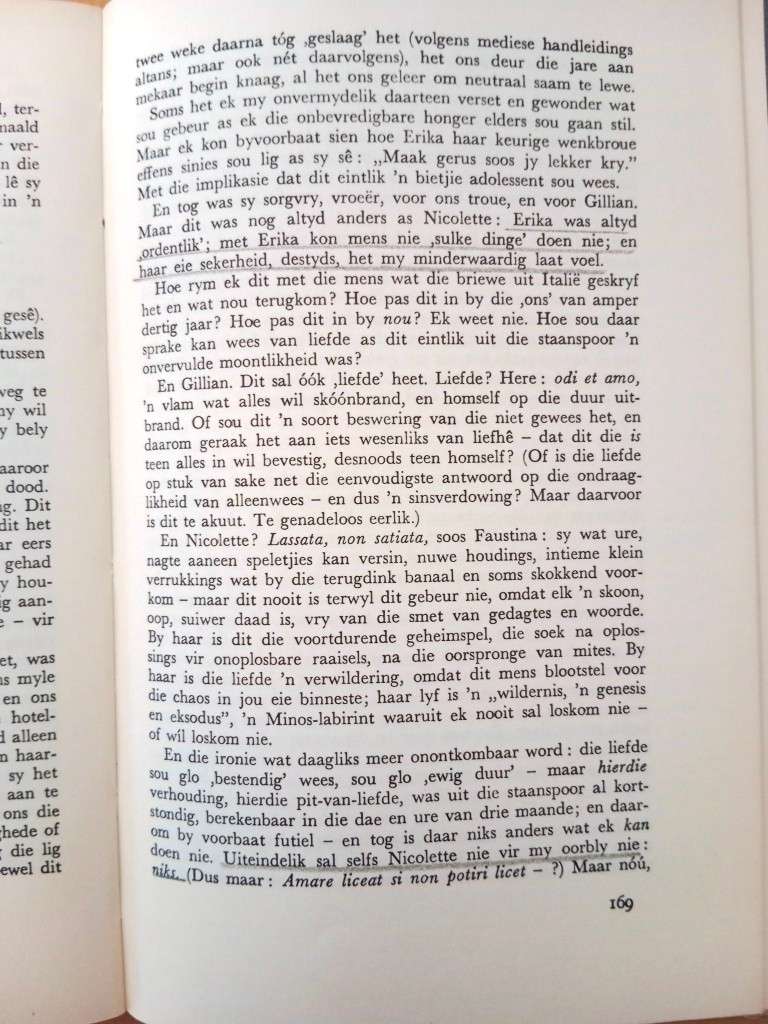 Die Ambassadeur, André P. Brink