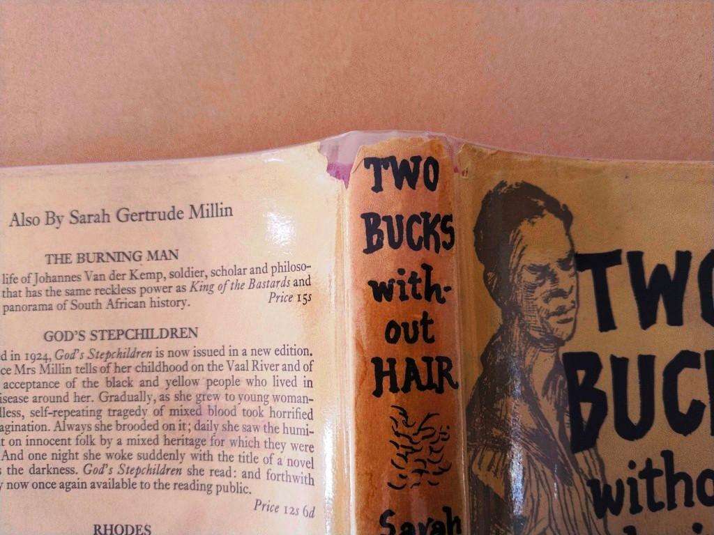 'Two Bucks without Hair' and other Stories, Sarah Gertrude Millin