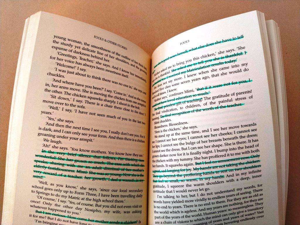 'Fools' and other Stories, Njabulo S. Ndebele