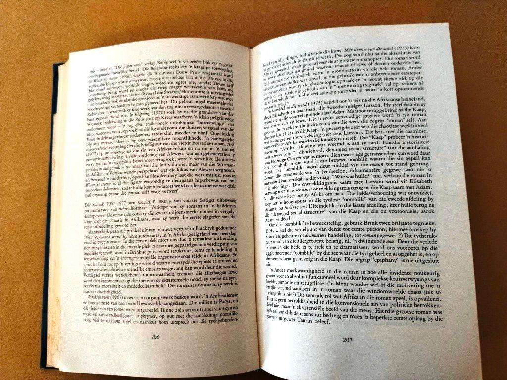 Perspektief en profiel, P.J. Nienaber