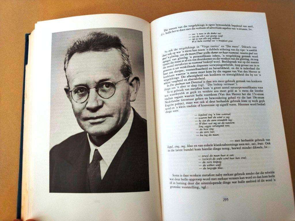 Perspektief en profiel, P.J. Nienaber