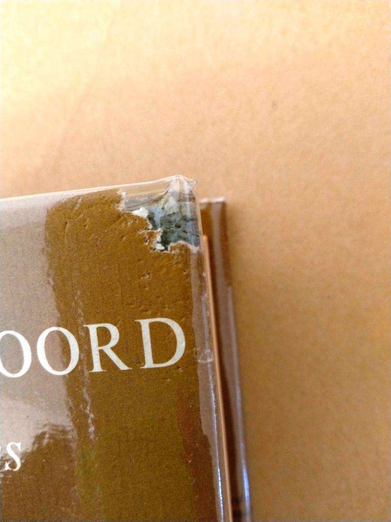 Die Korrekte Woord, H.J.J.M van der Merwe