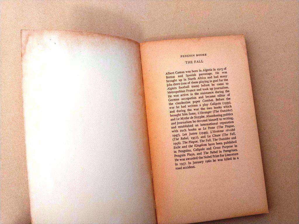 The Fall, Albert Camus