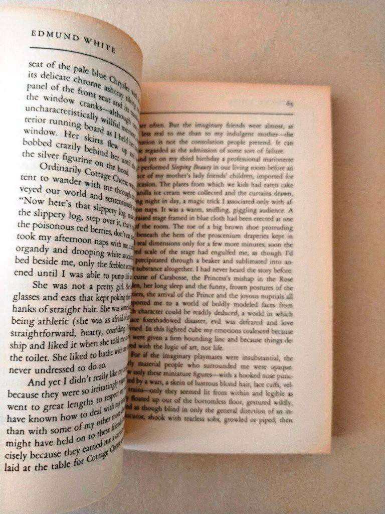 A Boy's Own Story, Edmund White