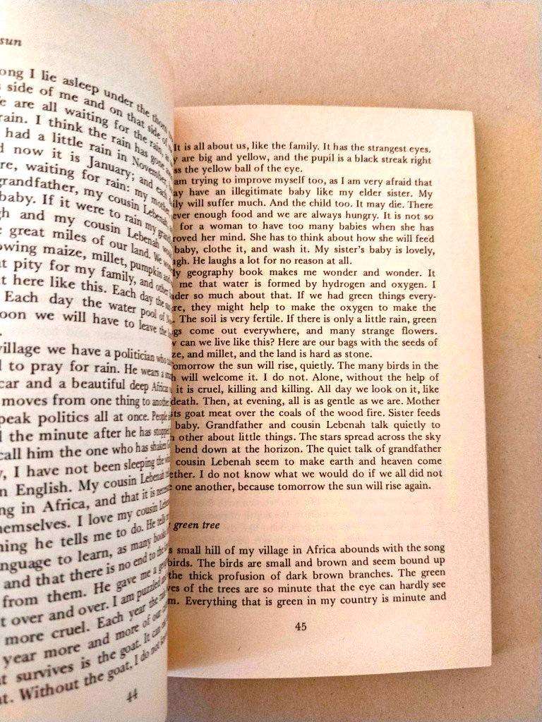 Tales of Tenderness and Power, Bessie Head