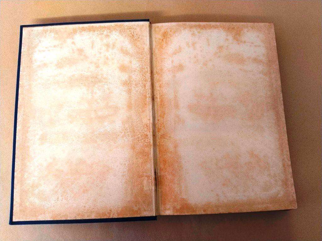 The Life and Times of Queen Victoria 1837-1907, Robert Wilson [4-volume set]