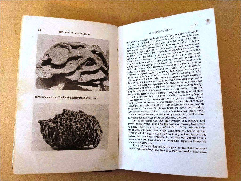 The Soul of the White Ant, Eugène N. Marais