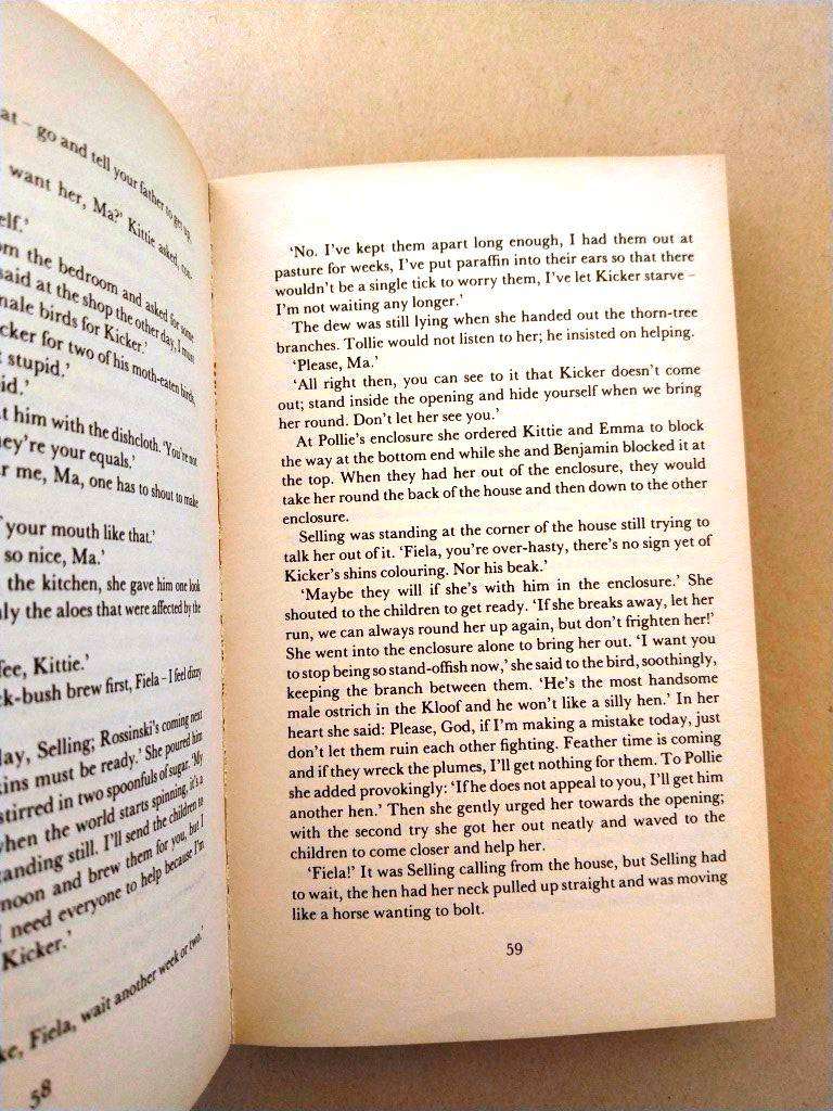 Fiela's Child, Dalene Matthee