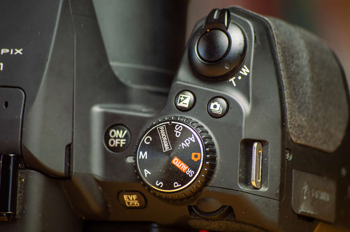 Fuji Finepix S1 50X Optical Zoom (A Beast of a Camera)