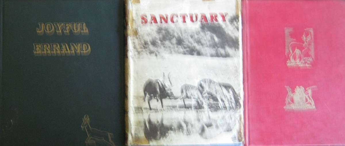 3 C S Stokes Books: Joyful Errand | Sanctuary | Toevlugsoord C S Stokes