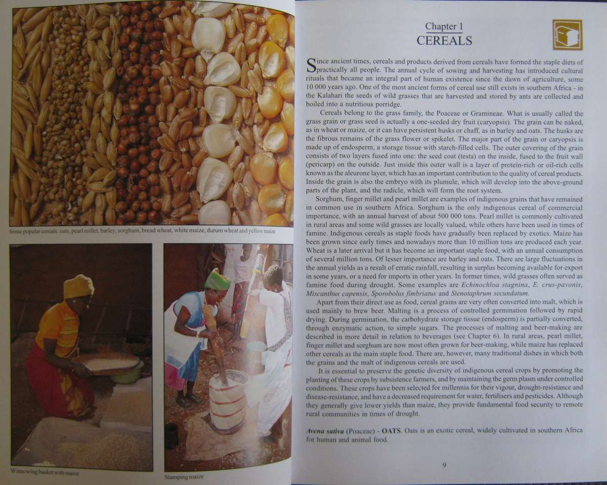 Peoples Plants  A Guide to Useful Plants of Southern Africa Ben-Erik van Wyk | Nigel Gericke