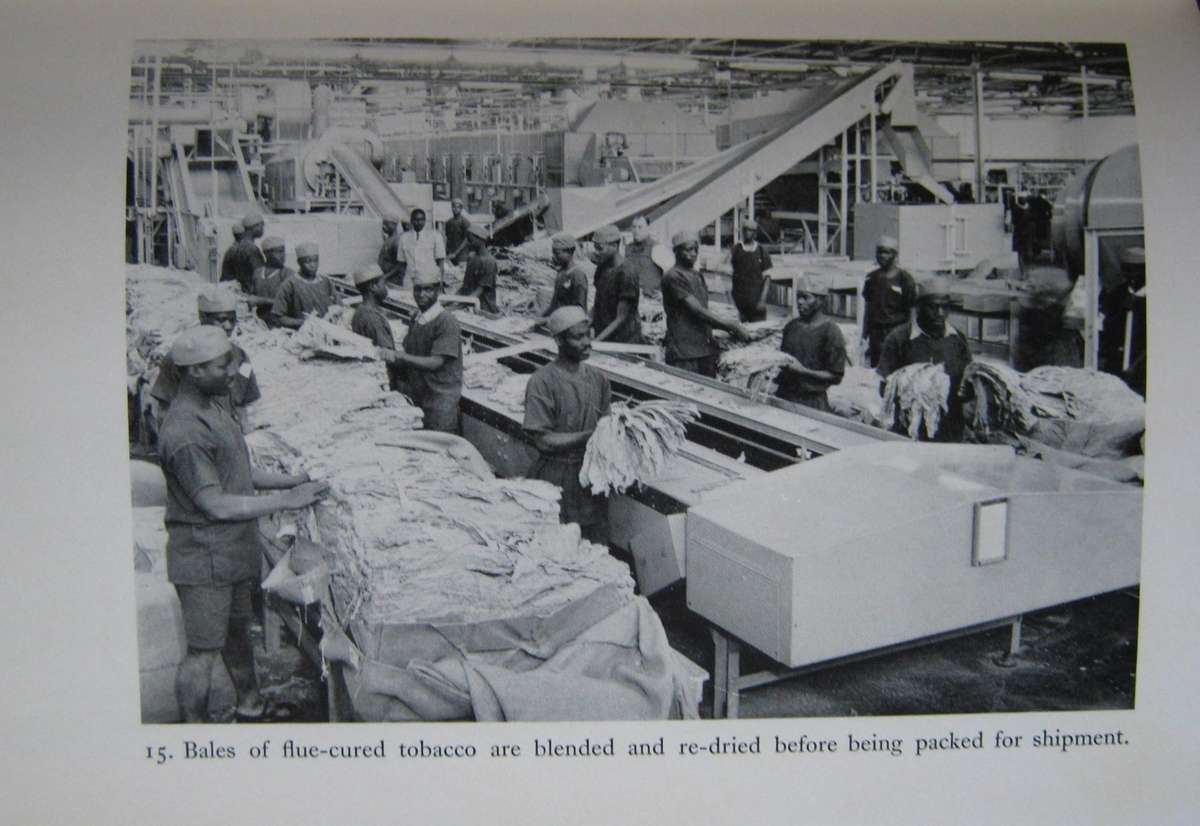 Leaf of Gold The Story of Rhodesian Tobacco Frank Clements & Edward Harben