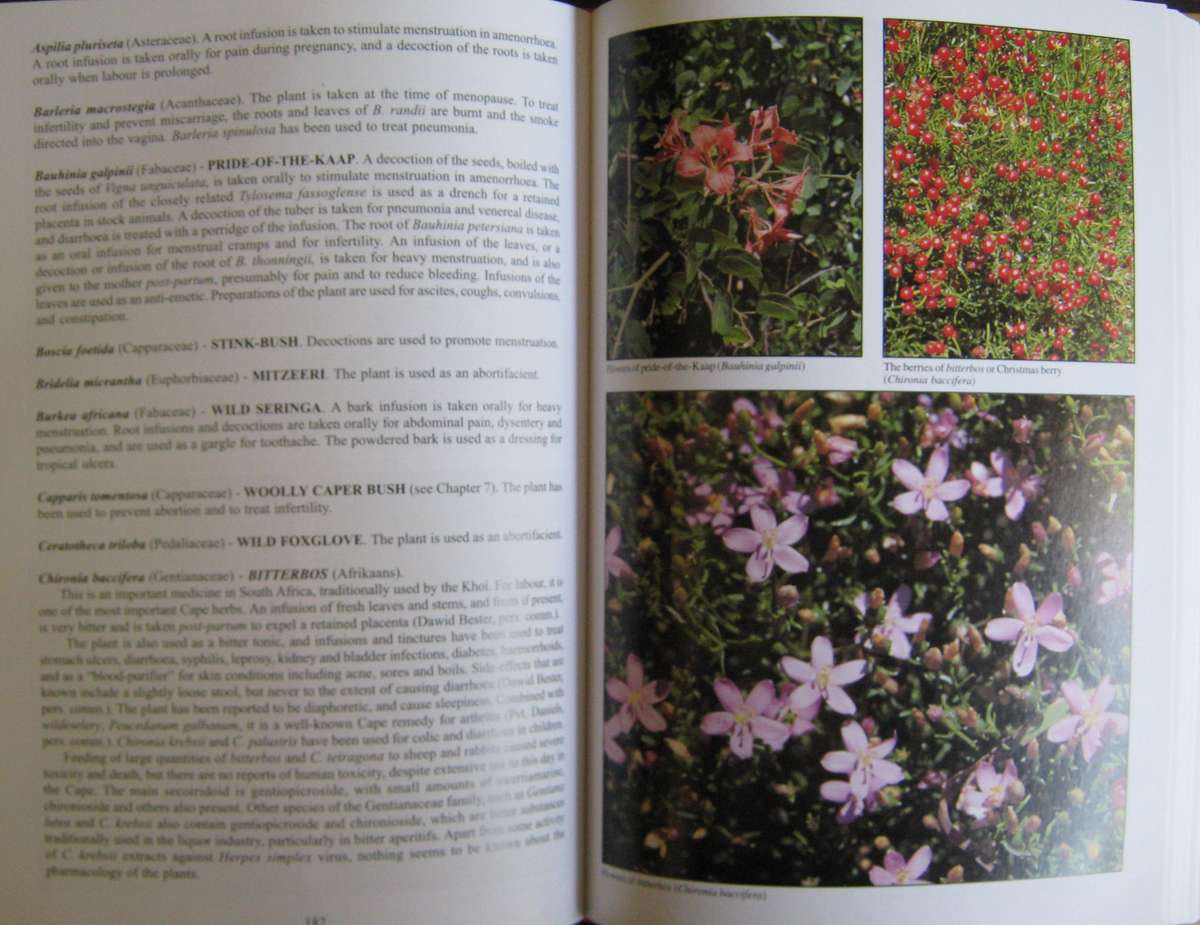 Peoples Plants  A Guide to Useful Plants of Southern Africa Ben-Erik van Wyk | Nigel Gericke