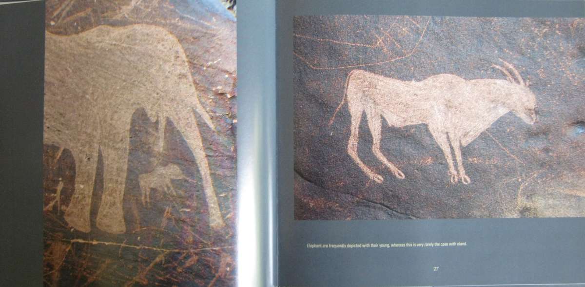 San Rock Engravings Marking the Karoo Landscape Neil Rusch & John Parkington