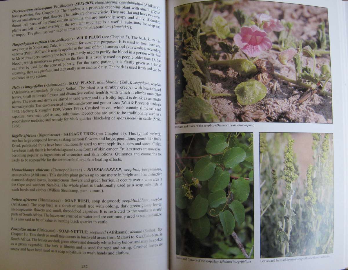 Peoples Plants  A Guide to Useful Plants of Southern Africa Ben-Erik van Wyk | Nigel Gericke
