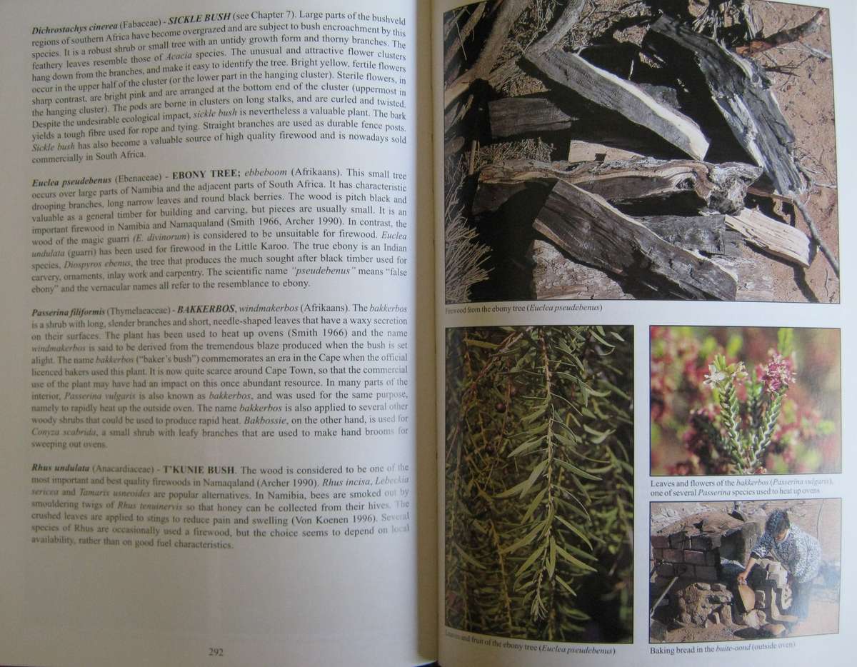 Peoples Plants  A Guide to Useful Plants of Southern Africa Ben-Erik van Wyk | Nigel Gericke