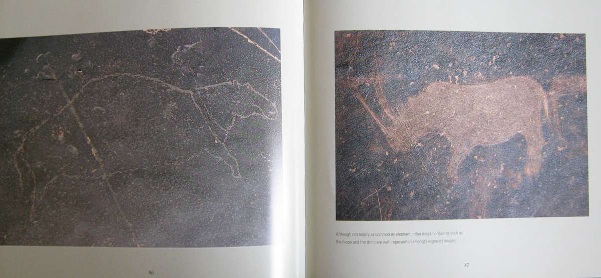 San Rock Engravings Marking the Karoo Landscape Neil Rusch & John Parkington