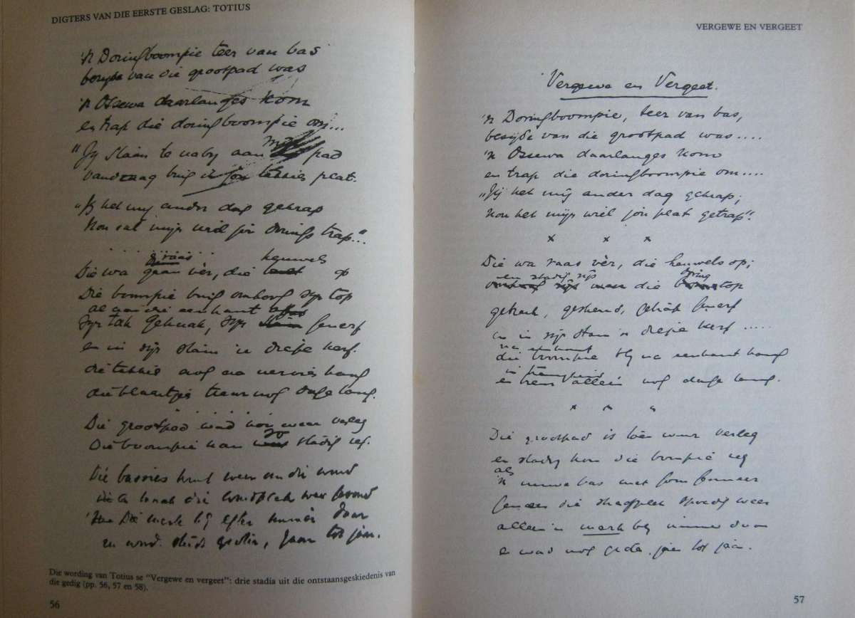 Die Afrikaanse Literatuur 1652-1987 J C Kannemeyer  P