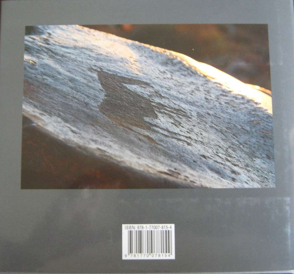 San Rock Engravings Marking the Karoo Landscape Neil Rusch & John Parkington