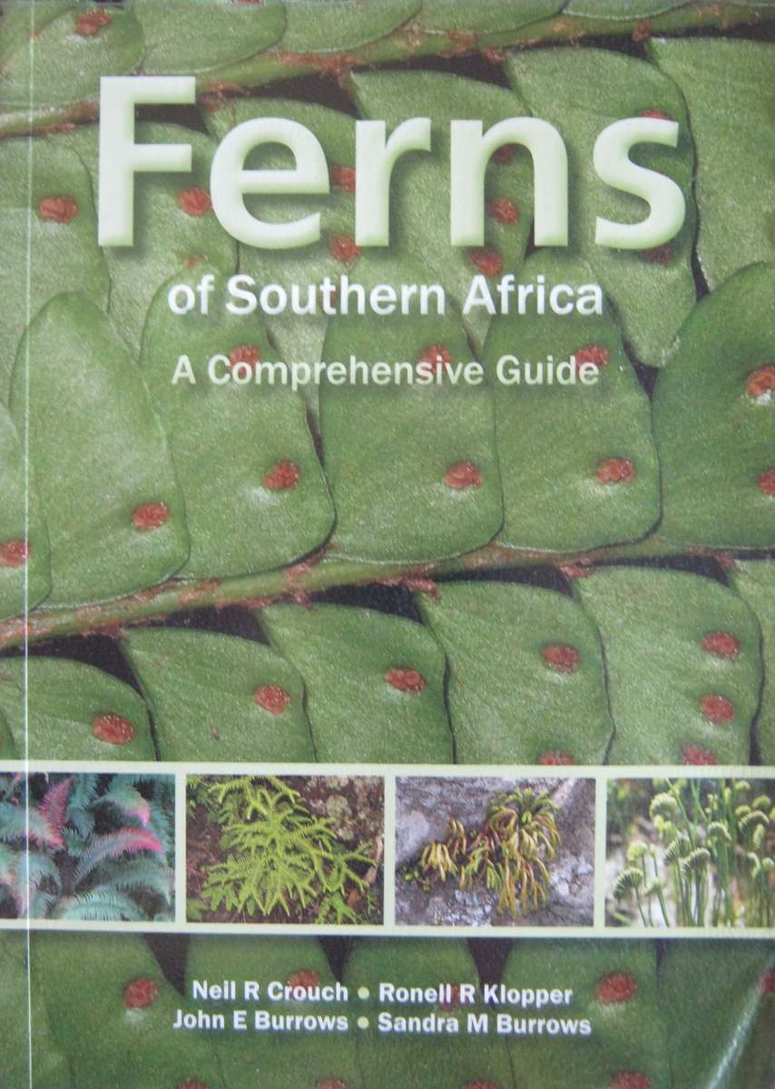 Ferns of Southern Africa: A Comprehensive Guide Neil R Crouch | Ronell R Klopper | John E Bu