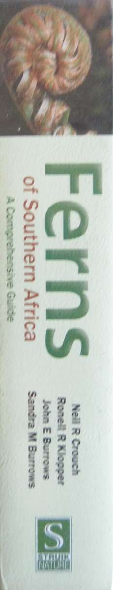 Ferns of Southern Africa: A Comprehensive Guide Neil R Crouch | Ronell R Klopper | John E Bu