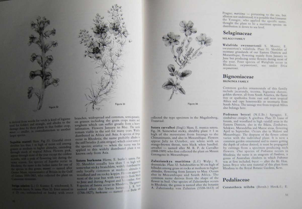 Rhodesian Wild Flowers H M Biegel | Margaret H Tredgold