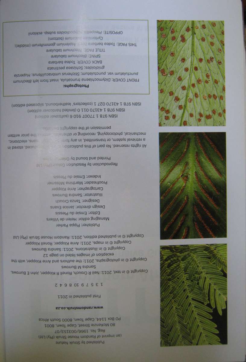 Ferns of Southern Africa: A Comprehensive Guide Neil R Crouch | Ronell R Klopper | John E Bu