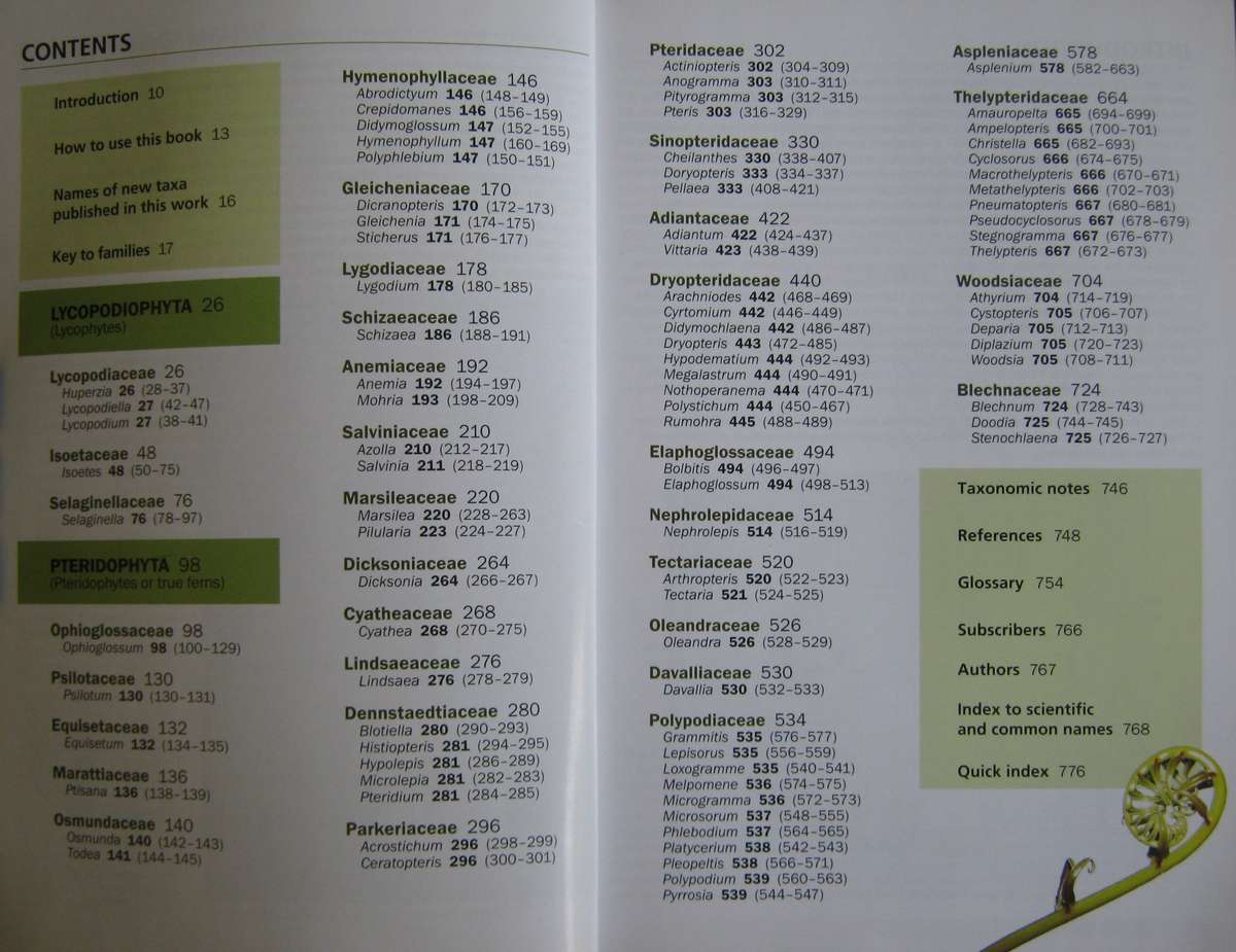 Ferns of Southern Africa: A Comprehensive Guide Neil R Crouch | Ronell R Klopper | John E Bu