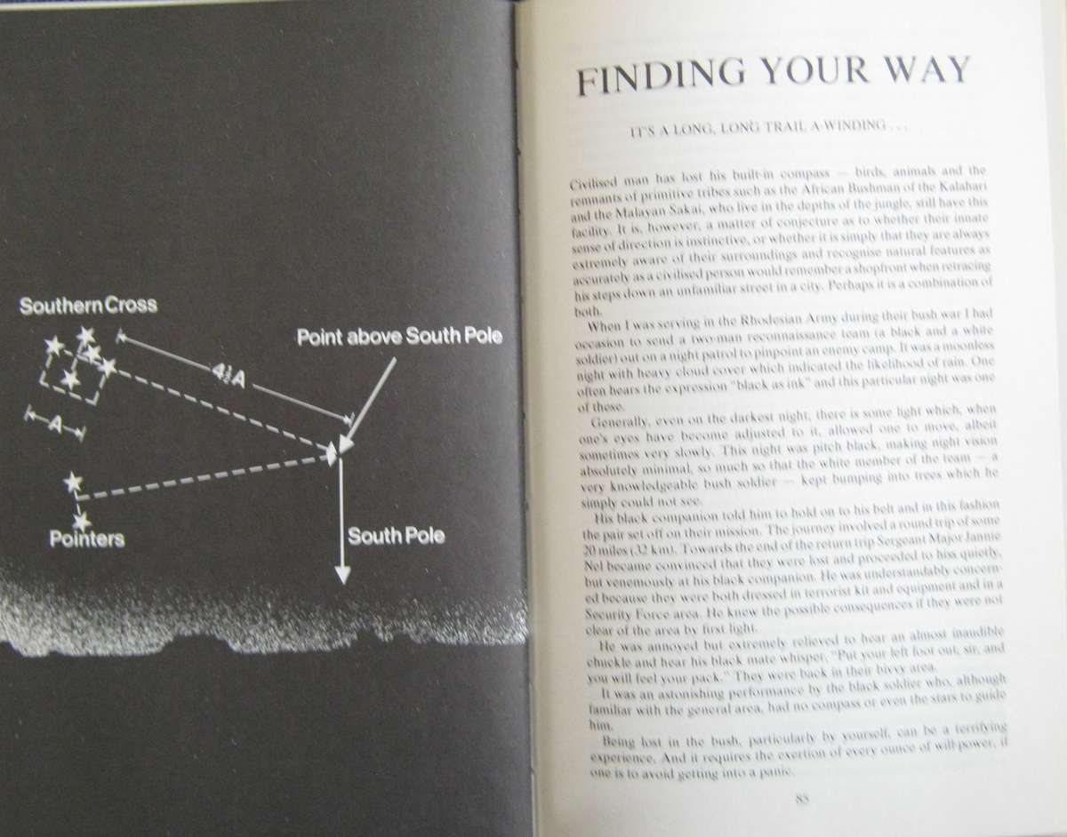 Staying Alive: Southern African Survival Handbook Ron Reid-Daly