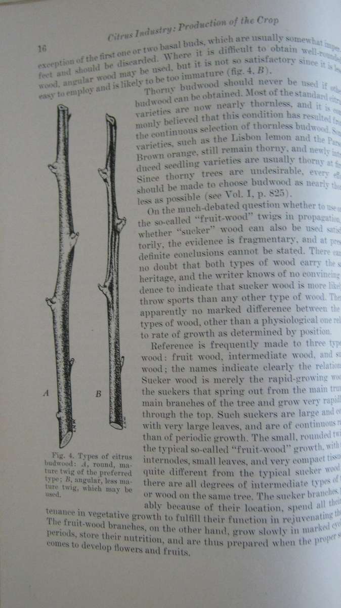Hulpboek vir Boere in Suid-Afrika. The Citrus Industry