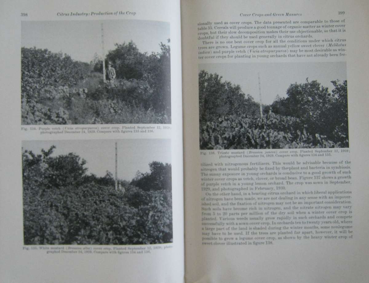 Hulpboek vir Boere in Suid-Afrika. The Citrus Industry