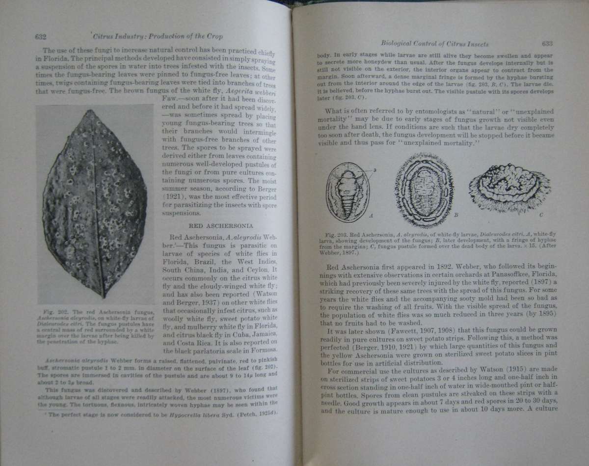 Hulpboek vir Boere in Suid-Afrika. The Citrus Industry