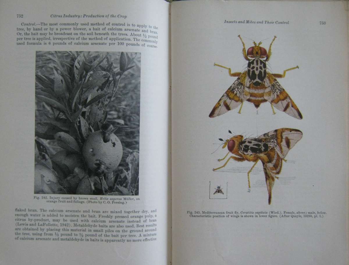 Hulpboek vir Boere in Suid-Afrika. The Citrus Industry