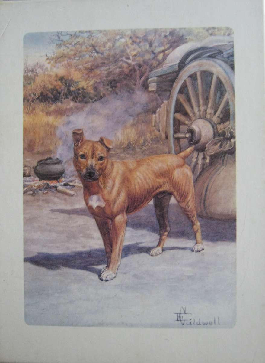 Limited Edition Jock of the Bushveld Sir Percy FitzPatrick