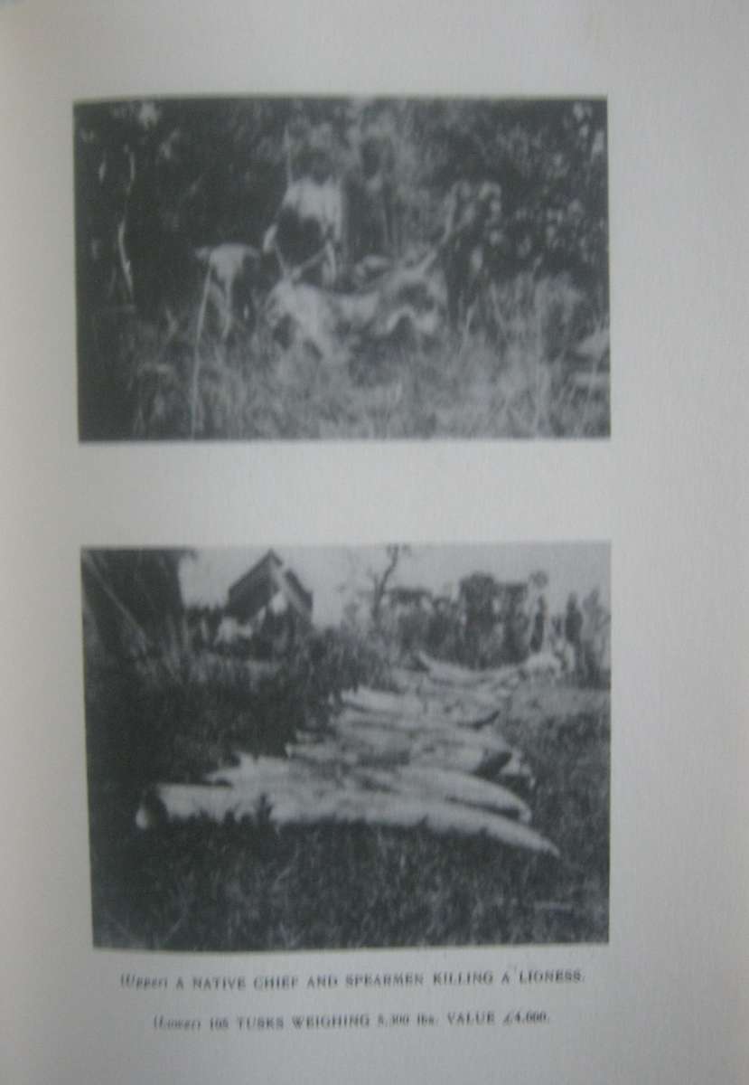 Big Game Hunting in Central Africa William Buckley