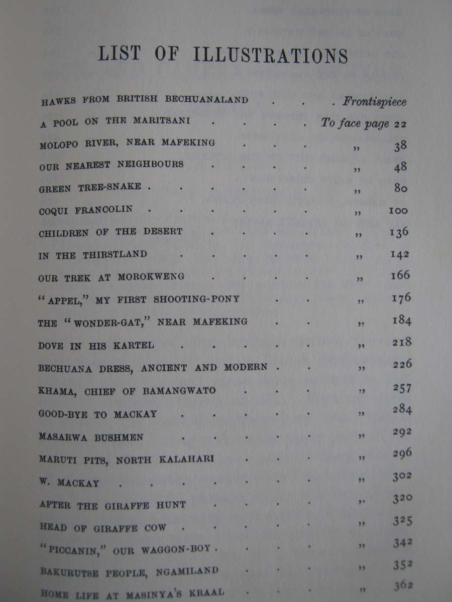 Gun and Camera in Southern Africa