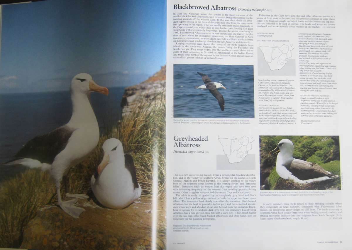 Complete Book of Southern African Birds P J Ginn |W G McIlleron | P le Milsteinn