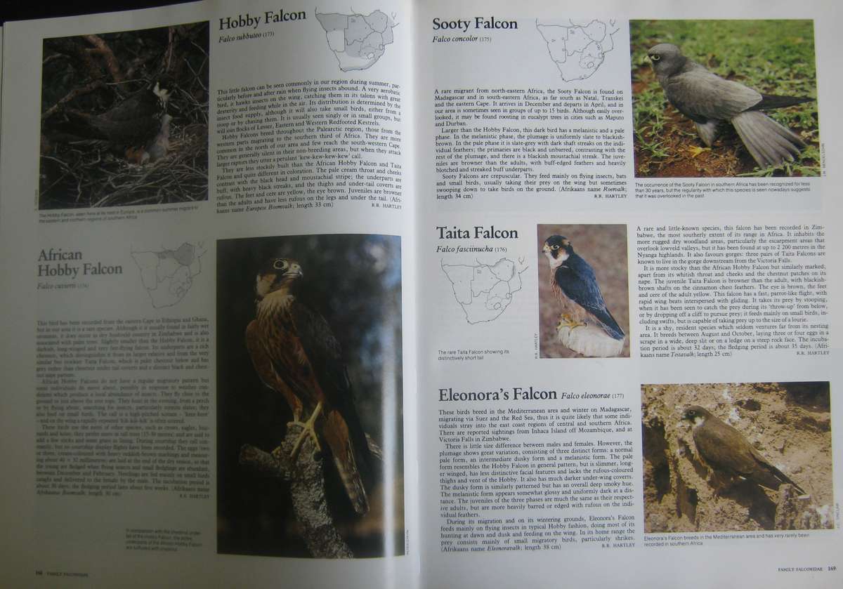Complete Book of Southern African Birds P J Ginn |W G McIlleron | P le Milsteinn