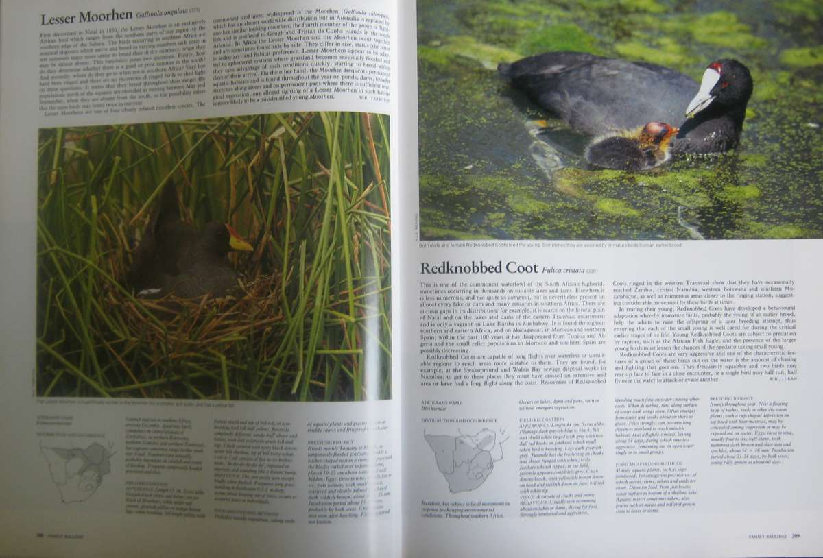 Complete Book of Southern African Birds P J Ginn |W G McIlleron | P le Milsteinn