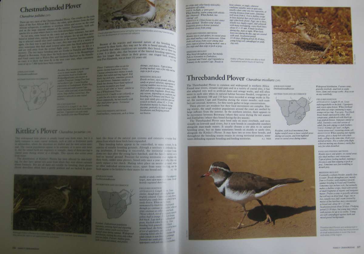 Complete Book of Southern African Birds P J Ginn |W G McIlleron | P le Milsteinn