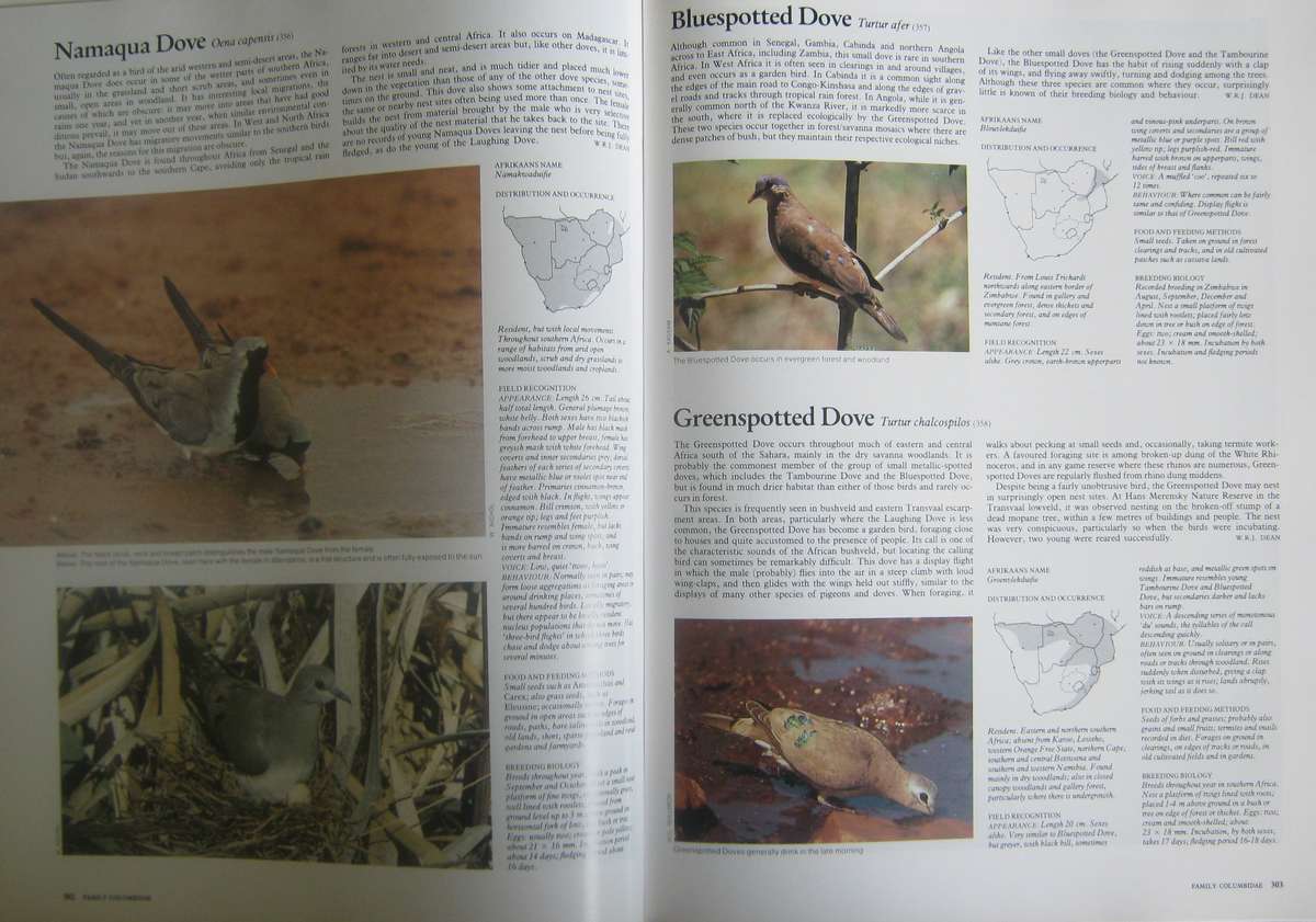 Complete Book of Southern African Birds P J Ginn |W G McIlleron | P le Milsteinn