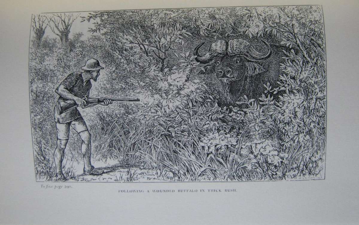 A Hunters Wanderings in Africa.