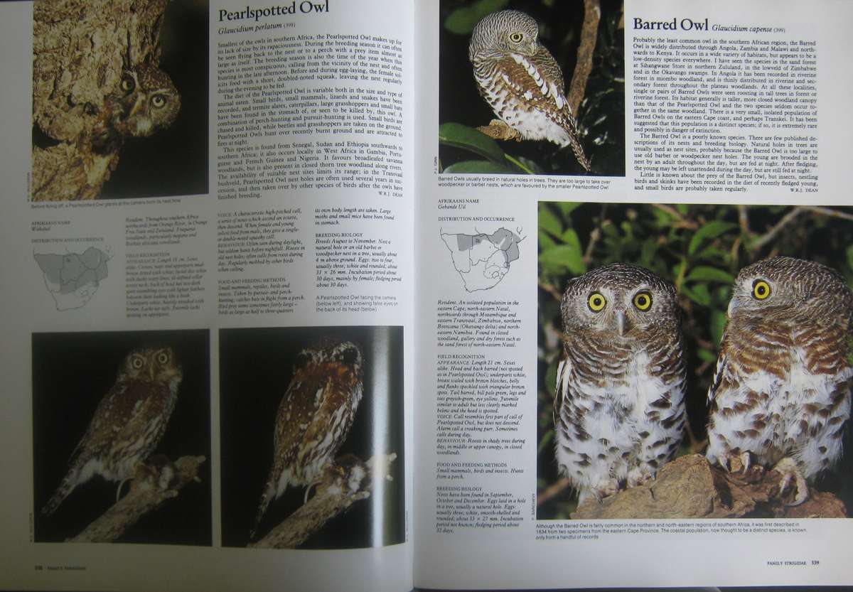 Complete Book of Southern African Birds P J Ginn |W G McIlleron | P le Milsteinn