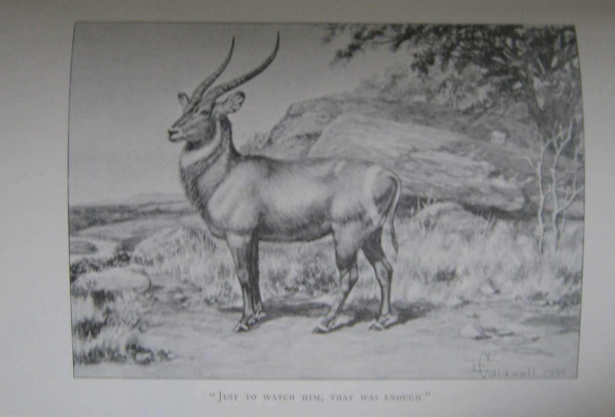 Limited Edition Jock of the Bushveld Sir Percy FitzPatrick