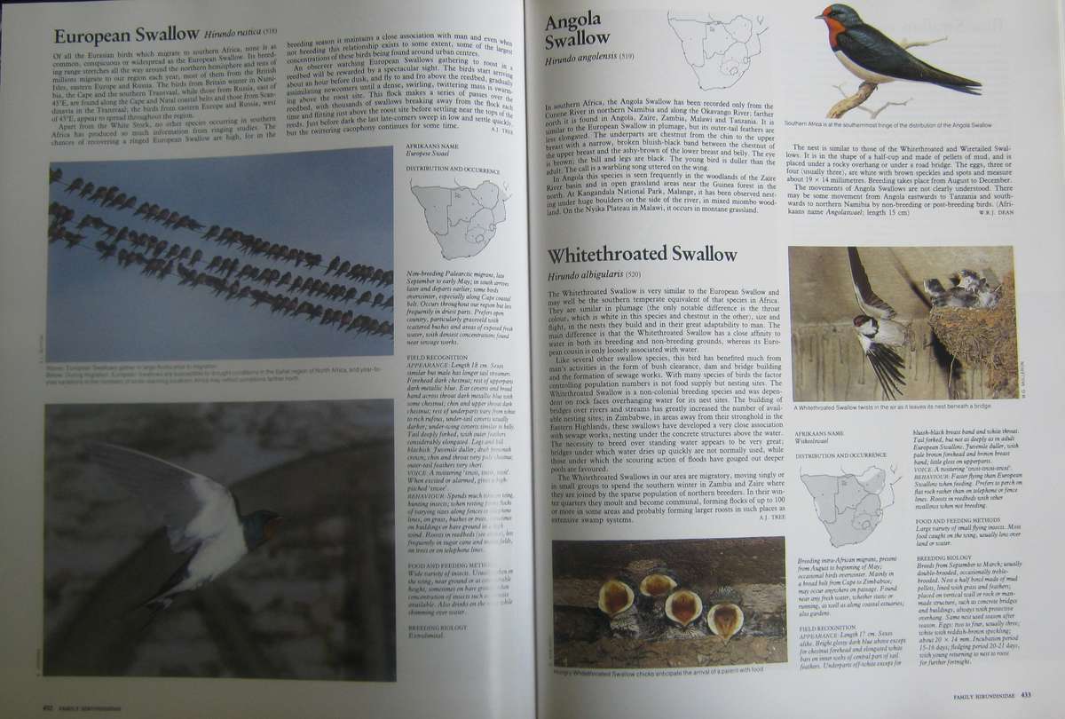 Complete Book of Southern African Birds P J Ginn |W G McIlleron | P le Milsteinn