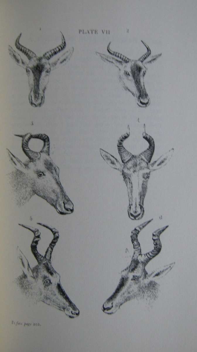 A Hunters Wanderings in Africa.