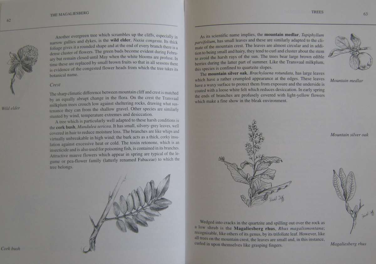 The Magaliesberg  Vincent Carruthers